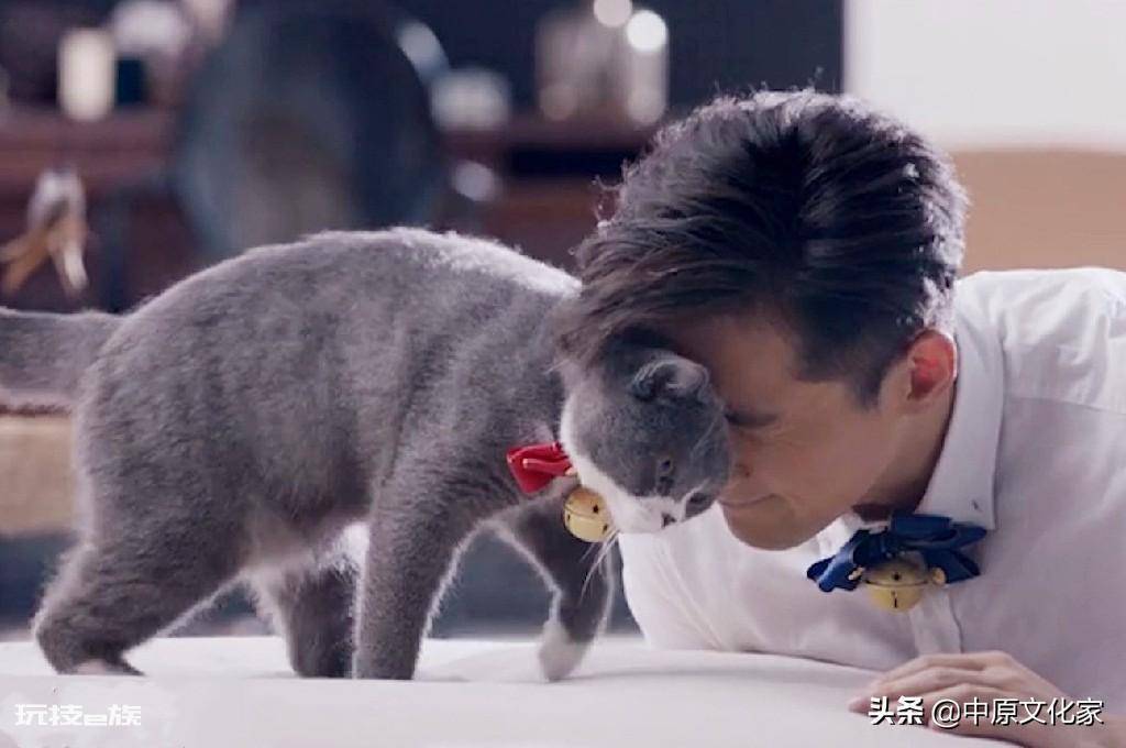 男不养猫女不养狗的说法(这个说法有科学依据吗)-图片1